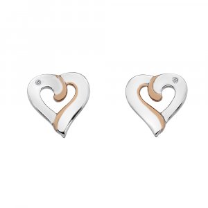 Ezüst fülbevaló Hot Diamonds Breeze RG DE546