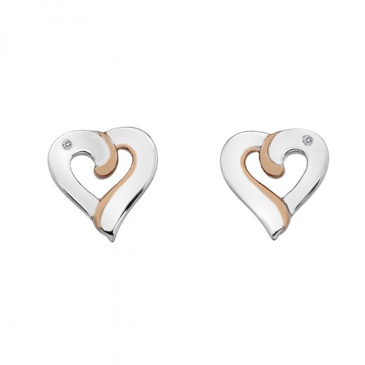 Ezüst fülbevaló Hot Diamonds Breeze RG DE546