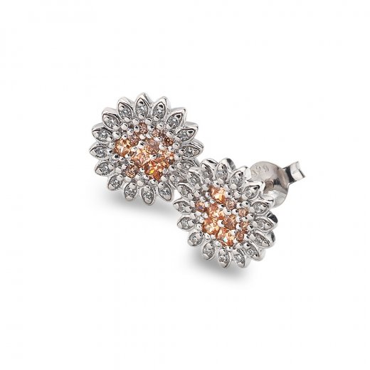 Ezüst fülbevaló Hot Diamonds Emozioni Spirzzare EE032