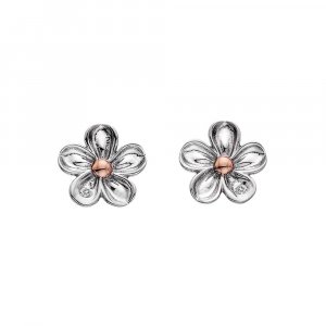 Fülbevaló Hot Diamonds Forget me not RG DE618