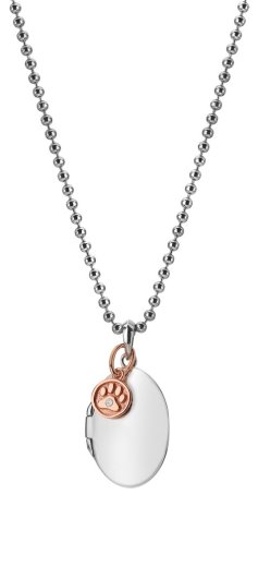 Ezüst medál Hot Diamonds Memories DP879